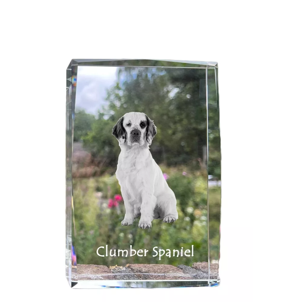 Clumber Spaniel kryształ z psem Art-Dog