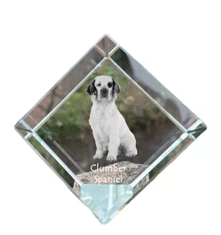 Clumber Spaniel - un cube de cristal avec une photo, une photo de cheval dans le cristal, un presse-papiers cubique de la marque Art-Dog
