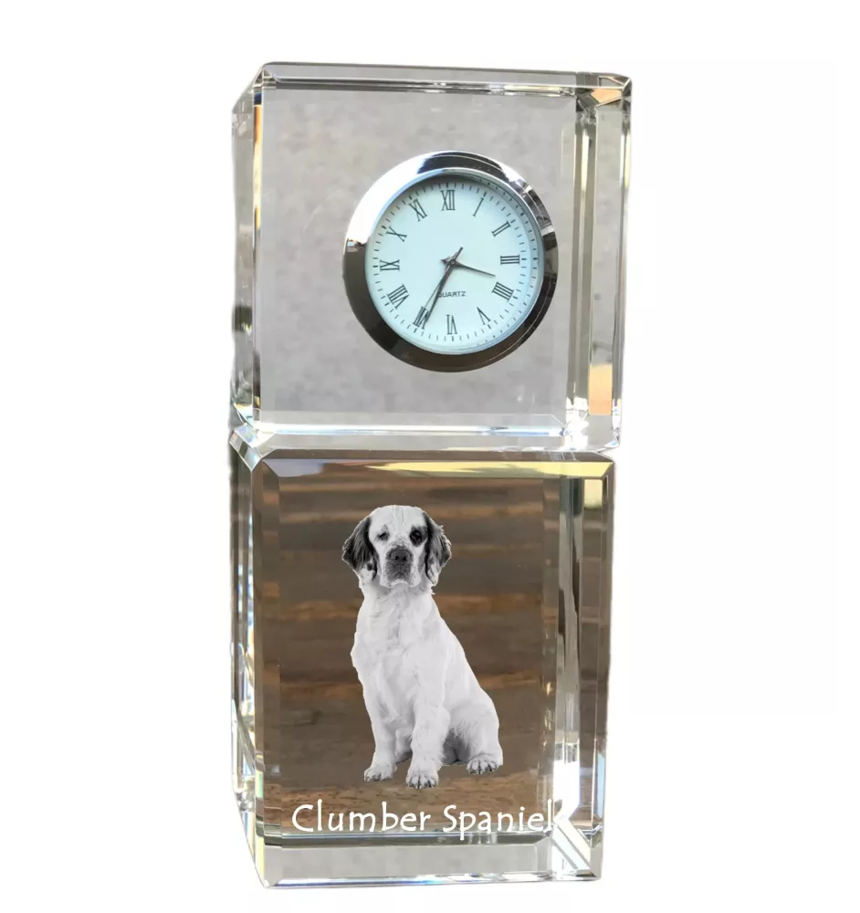 Clumber Spaniel - montre en cristal avec photo, photo de chien dans un cristal, horloge de bureau personnalisée de la marque Art-Dog