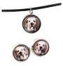 Clumber Spaniel - boîte à bijoux avec votre photo, ensemble collier et boucles d'oreilles, produits personnalisés de la marque Art-Dog