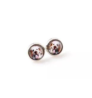 Clumber Spaniel - ensemble de bijoux avec votre photo, accessoire féminin, article fait main, produit fabriqué à la main avec passion pour la création de la marque Art-Dog