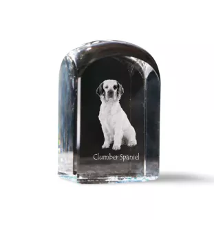 Clumber Spaniel - crystal cube with a photo, photo of a dog in crystal, cubic paperweight from Art-Dog brand