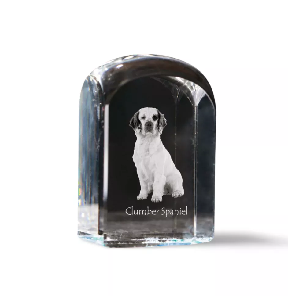Clumber Spaniel - crystal cube with a photo, photo of a dog in crystal, cubic paperweight from Art-Dog brand
