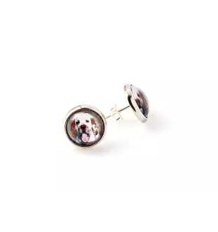 Clumber Spaniel - boucles d'oreilles dans une boîte, votre photo, bijoux faits à la main, produit de la marque Art-Dog.