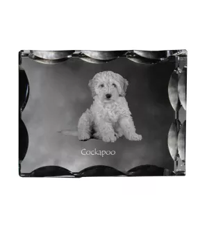 Cockapoo, Cockerpoo, Cockerdoodle - crystal with a picture of a dog, glass statuette with a picture, unique frame with a picture from Art-Dog brand