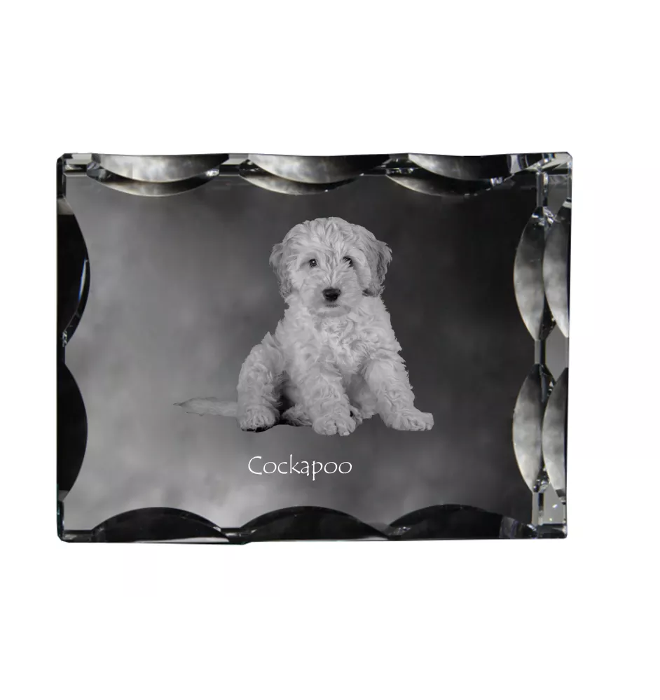 Cockapoo, Cockerpoo, Cockerdoodle - crystal with a picture of a dog, glass statuette with a picture, unique frame with a picture from Art-Dog brand