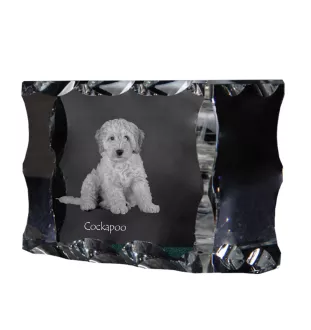 Cockapoo, cock-a-poo, cockerpoo, spoodle - cristal avec photo de chien, statuette en verre avec photo, cadre exceptionnel avec photo de la marque Art-Dog