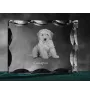 Cockapoo, Cockerpoo, Cockerdoodle - crystal with a picture of a dog, glass statuette with a picture, unique frame with a picture from Art-Dog brand