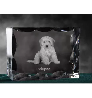Cockapoo - Kristall mit einem Hundebild, Glasstatuette mit einem Bild, einzigartiger Bilderrahmen der Marke Art-Dog
