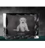 Cockapoo - Kristall mit einem Hundebild, Glasstatuette mit einem Bild, einzigartiger Bilderrahmen der Marke Art-Dog