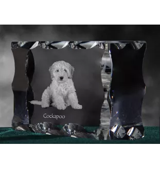 Cockapoo, Cockerpoo, Cockerdoodle - crystal with a picture of a dog, glass statuette with a picture, unique frame with a picture from Art-Dog brand