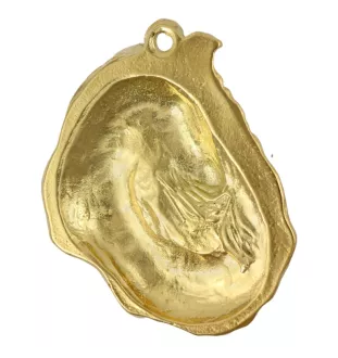 Langhaarcollie, Langhaariger Schottischer Schaferhund - Hundehalsband in Geschenkbox, vergoldeter Anhänger für Hundefans, auffälliger Schmuck von Art-Dog