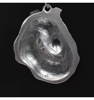 Collie à poil long, Colley à poil long, berger écossais - Collier de chien dans une boîte cadeau, médaillon argenté pour fan de chien, pendentif remarquable de la marque Art-Dog