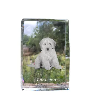 Cockapoo - Kristall mit einem Hundebild, Bild im Glas, moderne Ausstellung des Art-Dog-Bildes.