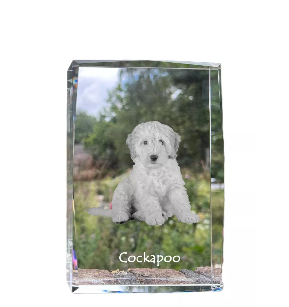 Cockapoo kryształ z psem Art-Dog