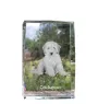Cockapoo - Kristall mit einem Hundebild, Bild im Glas, moderne Ausstellung des Art-Dog-Bildes.