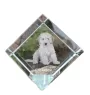 Cockapoo, Cockerpoo, Cockerdoodle - crystal cube with a photo, photo of a horse in crystal, cubic paperweight from Art-Dog brand