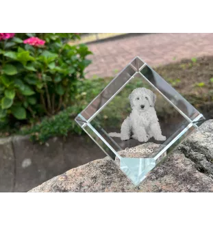 Cockapoo, cock-a-poo, cockerpoo, spoodle - un cube de cristal avec une photo, une photo de cheval dans le cristal, un presse-papiers cubique de la marque Art-Dog