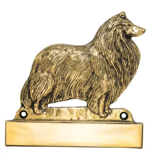 Kurzhaarcollie, Kurzhaariger Schottischer Schaferhund - Haustürschild mit Hund, Messingschild mit Namen, personalisiertes Türschild mit Markennamen Art-Dog