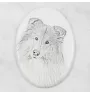 Collie à poil long, Colley à poil long, berger écossais - une plaque commémorative avec une photo de chien, une plaque funéraire avec une impression, une plaque ovale personnalisée de la marque Art-Do