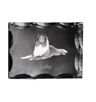 Langhaarcollie, Langhaariger Schottischer Schaferhund - Kristall mit einem Hundebild, Glasstatuette mit einem Bild, einzigartiger Bilderrahmen der Marke Art-Dog