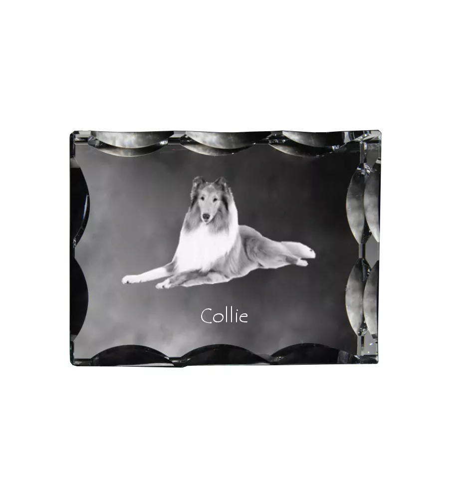 Langhaarcollie, Langhaariger Schottischer Schaferhund - Kristall mit einem Hundebild, Glasstatuette mit einem Bild, einzigartiger Bilderrahmen der Marke Art-Dog