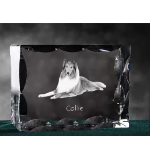 Langhaarcollie, Langhaariger Schottischer Schaferhund - Kristall mit einem Hundebild, Glasstatuette mit einem Bild, einzigartiger Bilderrahmen der Marke Art-Dog