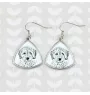 Cockapoo - Hund Ohrringe, hängende Ohrringe mit Bild, personalisierter Schmuck mit dem Aufdruck der Marke Art-Dog