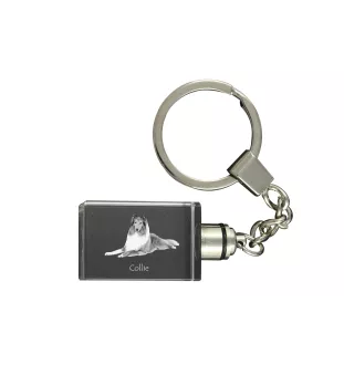 Langhaarcollie, Langhaariger Schottischer Schaferhund - Schlüsselanhänger aus Kristall mit Hundefoto, beleuchteter Schlüsselanhänger, einzigartiges Geschenk der Marke Art-Dog