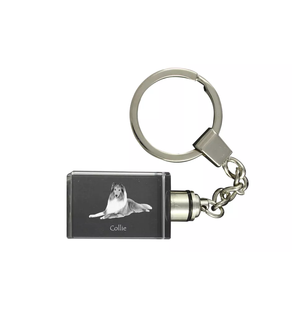 Langhaarcollie, Langhaariger Schottischer Schaferhund - Schlüsselanhänger aus Kristall mit Hundefoto, beleuchteter Schlüsselanhänger, einzigartiges Geschenk der Marke Art-Dog