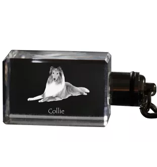 Langhaarcollie, Langhaariger Schottischer Schaferhund - Schlüsselanhänger aus Kristall mit Hundefoto, beleuchteter Schlüsselanhänger, einzigartiges Geschenk der Marke Art-Dog