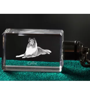 Langhaarcollie, Langhaariger Schottischer Schaferhund - Schlüsselanhänger aus Kristall mit Hundefoto, beleuchteter Schlüsselanhänger, einzigartiges Geschenk der Marke Art-Dog