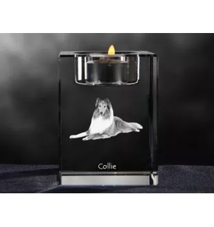 Langhaarcollie, Langhaariger Schottischer Schaferhund - Kerzenhalter mit Hundefoto, Teelichthalter aus Kristall, personalisiertes Geschenk der Marke Art-Dog