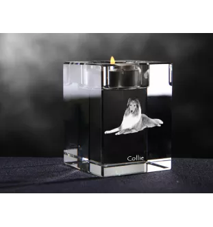 Langhaarcollie, Langhaariger Schottischer Schaferhund - Kerzenhalter mit Hundefoto, Teelichthalter aus Kristall, personalisiertes Geschenk der Marke Art-Dog