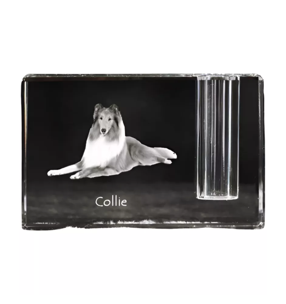 Langhaarcollie, Langhaariger Schottischer Schaferhund - Stifthalter, Kristallorganizer mit Hundefoto, einzigartige Schreibtischdekoration der Marke Art-Dog