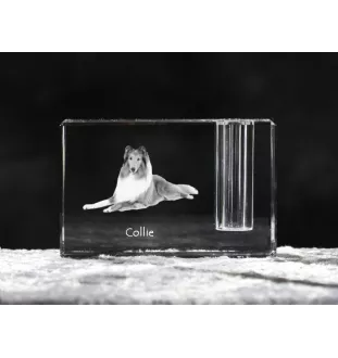 Langhaarcollie, Langhaariger Schottischer Schaferhund - Stifthalter, Kristallorganizer mit Hundefoto, einzigartige Schreibtischdekoration der Marke Art-Dog
