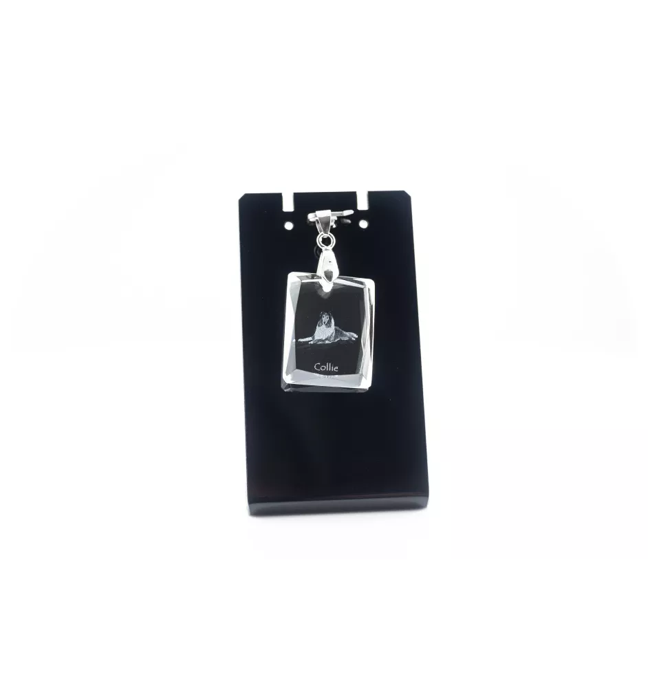 Collie Rough, Long-Haired Collie - Crystal dog pendant, photo necklace, unique jewellery by Art-Dog