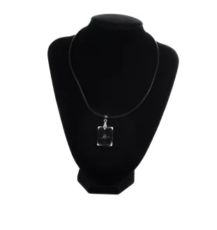 Langhaarcollie, Langhaariger Schottischer Schaferhund - Kristallanhänger für Hunde, Foto-Halskette, einzigartiger Schmuck von Art-Dog