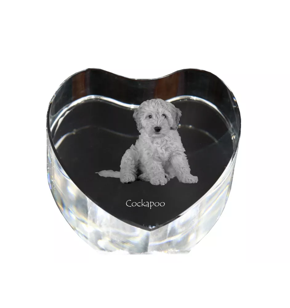 Cockapoo, cock-a-poo, cockerpoo, spoodle - une photo de chien dans un cristal, un cœur en cristal, un cadre photo exceptionnel de la marque Art-Dog