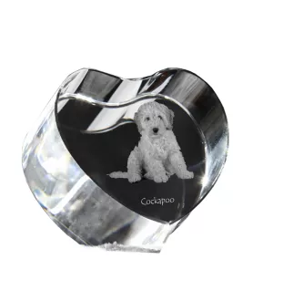 Cockapoo, cock-a-poo, cockerpoo, spoodle - une photo de chien dans un cristal, un cœur en cristal, un cadre photo exceptionnel de la marque Art-Dog