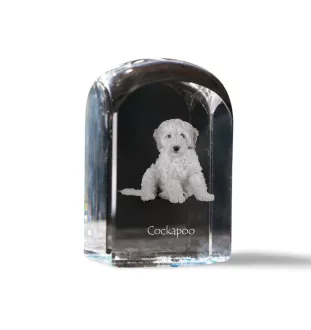 Cockapoo, cock-a-poo, cockerpoo, spoodle - un cube de cristal avec une photo, une photo de chien dans le cristal, un presse-papiers cubique de la marque Art-Dog
