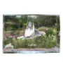 Langhaarcollie, Langhaariger Schottischer Schaferhund - Kristall mit einem Hundebild, Bild im Glas, moderne Ausstellung des Art-Dog-Bildes.