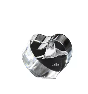 Collie à poil long, Colley à poil long, berger écossais - une photo de chien dans un cristal, un cœur en cristal, un cadre photo exceptionnel de la marque Art-Dog