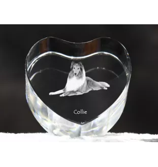 Collie à poil long, Colley à poil long, berger écossais - une photo de chien dans un cristal, un cœur en cristal, un cadre photo exceptionnel de la marque Art-Dog