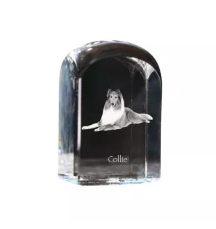 Langhaarcollie, Langhaariger Schottischer Schaferhund - Kristallwürfel mit Bild, Hundebild im Kristall, sechseckiger Papierclip von Art-Dog.