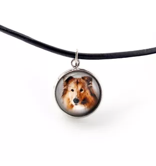 Langhaarcollie, Langhaariger Schottischer Schaferhund - Schmuckset in einer Schachtel, Halskette, Ohrringe, Armband, Produkte der Marke Art-Dog