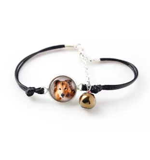 Collie Rough, Long-Haired Collie - a set of jewelry in a box, necklace, earrings, bracelet, products from the Art-Dog brand
