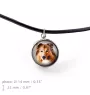 Collie Rough, Long-Haired Collie - a set of jewelry with your photo, handmade set, bracelet and necklace by Art.-Dog brand