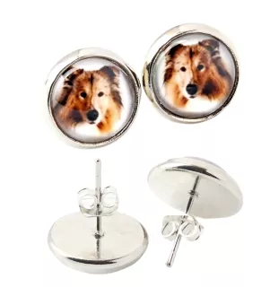 Langhaarcollie, Langhaariger Schottischer Schaferhund - Ohrringe in einer Schachtel, Ihr Foto, handgefertigter Schmuck, Eigenmarke von Art-Dog.