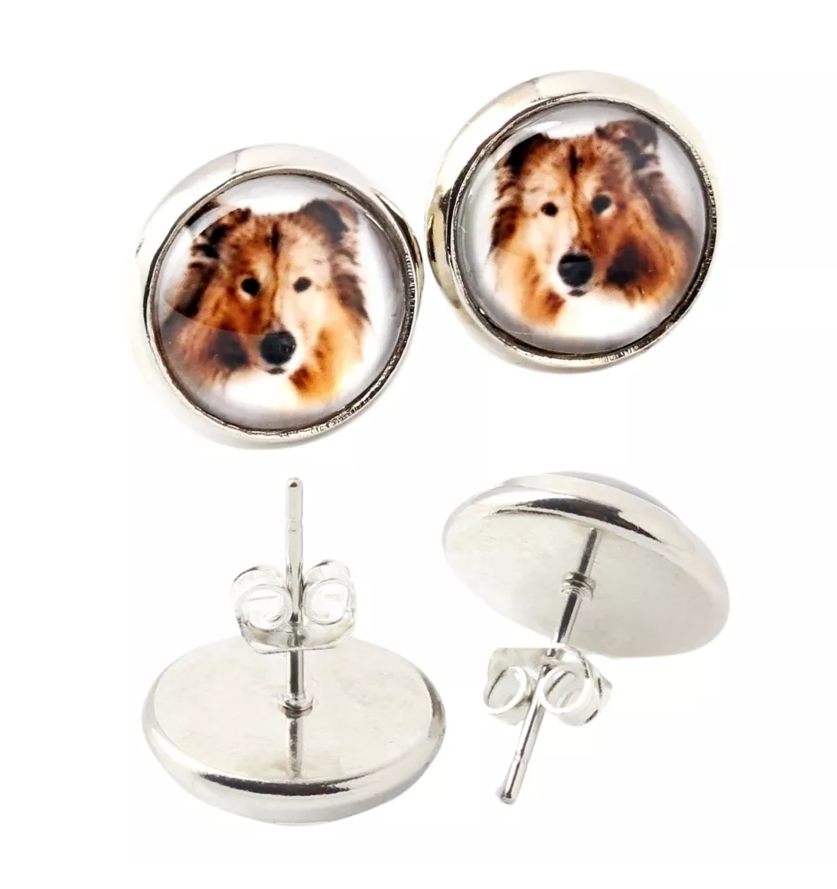 Langhaarcollie, Langhaariger Schottischer Schaferhund - Ohrringe in einer Schachtel, Ihr Foto, handgefertigter Schmuck, Eigenmarke von Art-Dog.